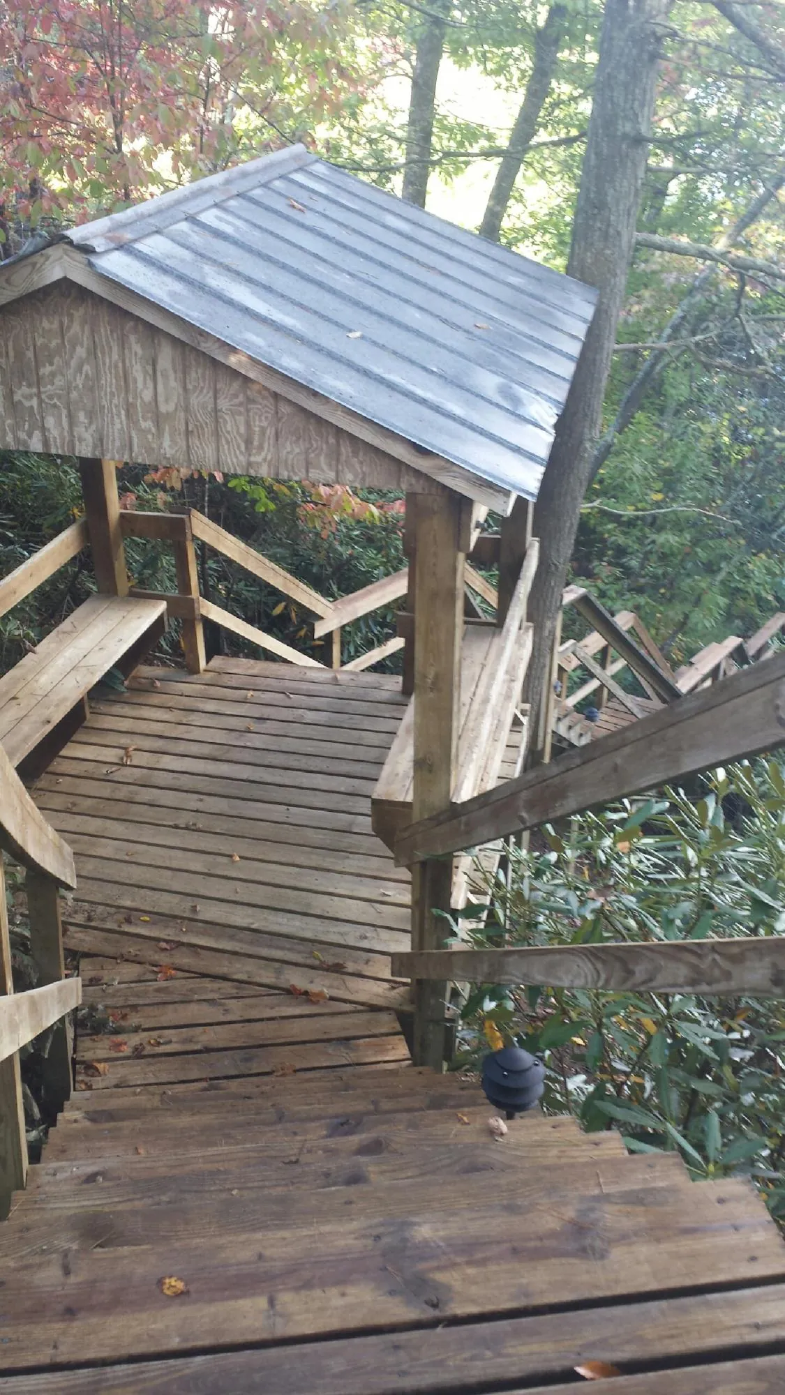 Metal roofed shelter over wooden steps on a wooded walkway in Lunenburg